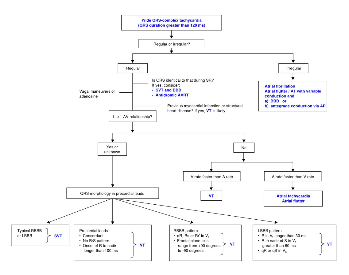 File:VT algorithm en.svg - ECGpedia